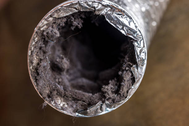 Best Air Duct Cleaning Company Near Me  in USA